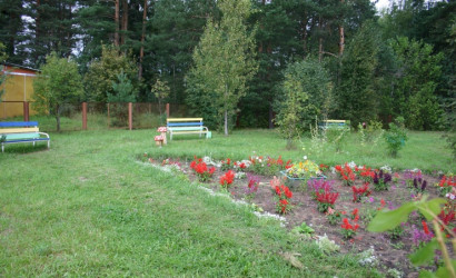 Общие сведения — Цветы всегда радуют глазцветы всегда радуют глаз — фото